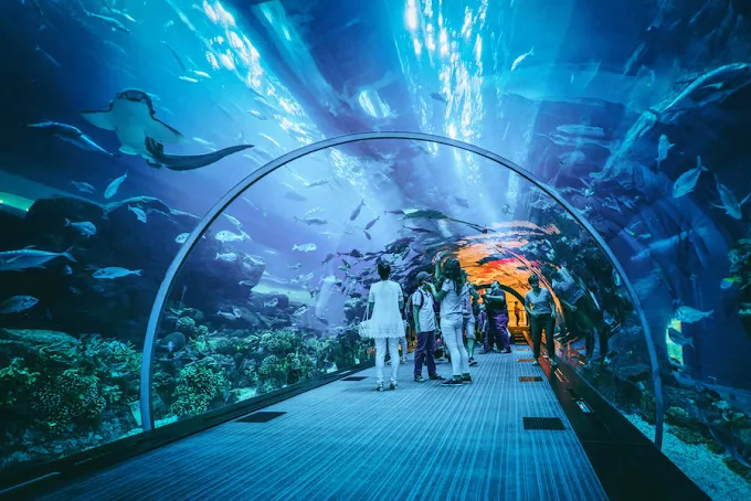 Aquaria KLCC (Twin Tower) Kuala Lumpur, Malaysia