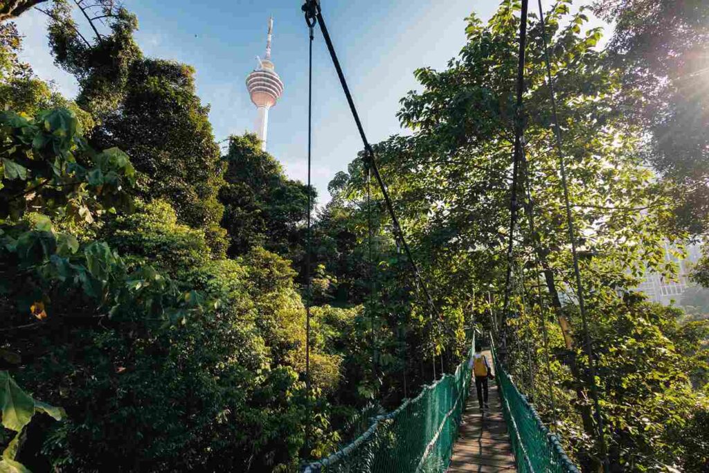 KL Forest Eco Park (Bukit Nanas) Kuala Lumpur Malaysia