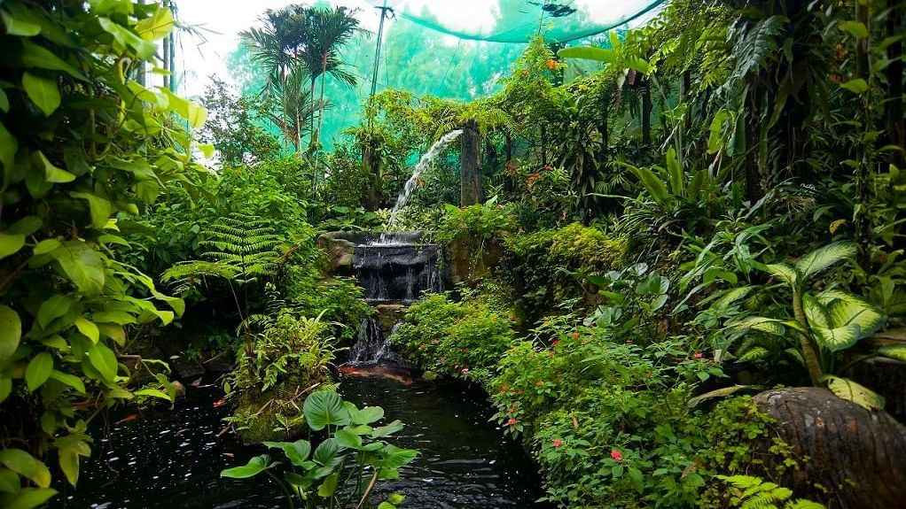 Kuala Lumpur Butterfly Park, Malaysia