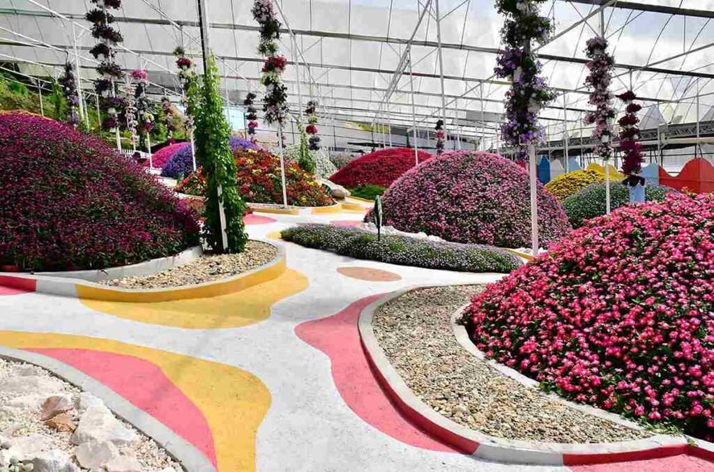 Agro Market Cameron Highlands - Attractions