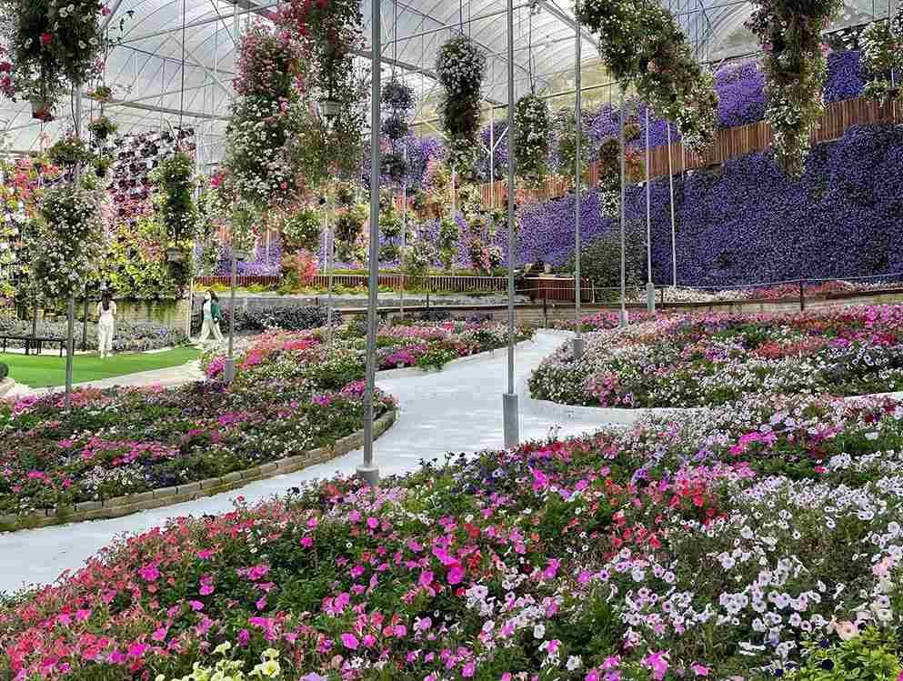 Cameron Highlands Flora Park - Cameron Highlands Attractions