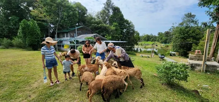 Koref Desaru Leisure Farm - Attractions & Activities