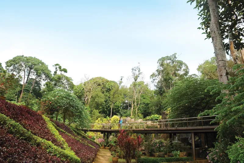 Melaka Botanical Garden - Malacca Eco Tourism Attractions